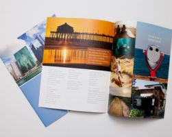 In KTS - Tạp chí 2